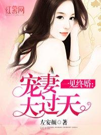 宠妻大过天 宠妻大过天