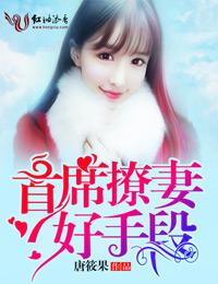首席撩妻,好手段 首席撩妻,好手段