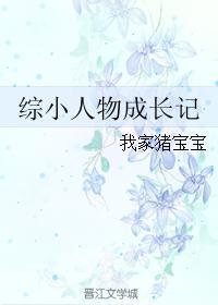 综小人物成长记 综小人物成长记