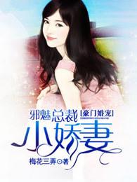 豪门婚宠:邪魅总裁小娇妻 豪门婚宠:邪魅总裁小娇妻