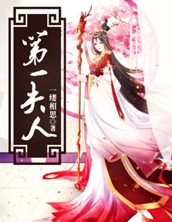 第一夫人 第一夫人