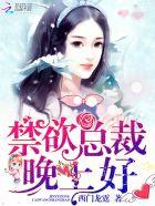 傲娇总裁,你好! 傲娇总裁,你好!