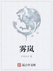 雾岚 雾岚