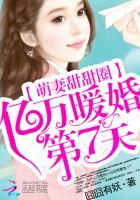 萌妻甜甜圈:亿万暖婚第7天 萌妻甜甜圈:亿万暖婚第7天