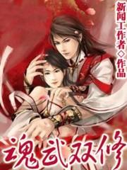 魂武双修 魂武双修