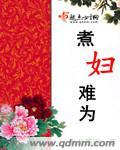 煮妇难为 煮妇难为