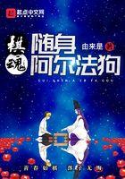 棋魂:随身阿尔法狗 棋魂:随身阿尔法狗