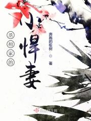 丞相家的小悍妻 丞相家的小悍妻