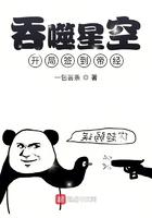 吞噬星空:开局签到帝经 吞噬星空:开局签到帝经