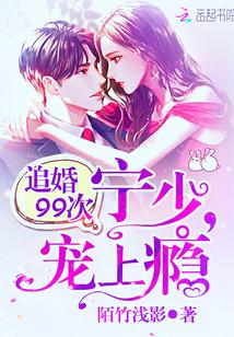 追婚99次:宁少,宠上瘾 追婚99次:宁少,宠上瘾