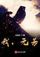 我,元芳? 我,元芳?