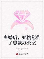 离婚后,她携崽炸了总裁办公室 离婚后,她携崽炸了总裁办公室