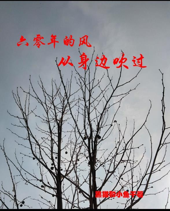 六零年的风从身边吹过 六零年的风从身边吹过