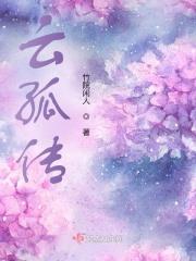云孤传 云孤传