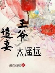 王爷追妻太遥远 王爷追妻太遥远