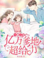 一胎二宝:亿万爹地超给力 一胎二宝:亿万爹地超给力