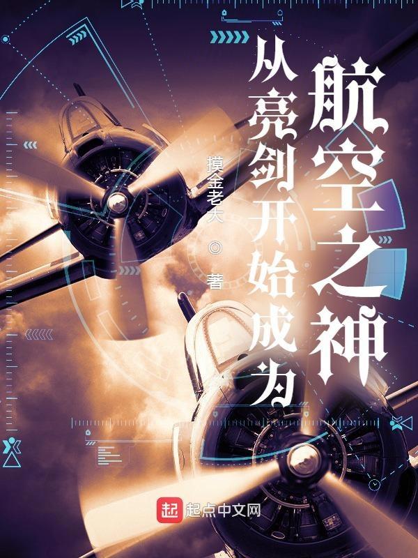 从亮剑开始成为航空之神 从亮剑开始成为航空之神
