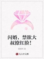 闪婚,禁欲大叔撩红脸! 闪婚,禁欲大叔撩红脸!